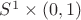 $S^1\times (0,1)$ $S^1\times (0,1)$