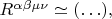 $R^{\alpha \beta \mu \nu} \simeq (\ldots),$