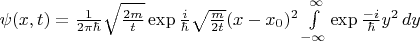 $\psi(x,t) = \frac{1}{2\pi\hbar}\sqrt{\frac{2m}{t}}\exp{\frac{i}{\hbar}\sqrt{\frac{m}{2t}}(x - x_0)^2}\int\limits_{-\infty}^{\infty}\exp{\frac{-i}{\hbar}y^2\,dy}$