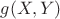 $g(X,Y)$
