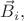 $\vec{B}_i,$