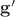 $\mathbf{g'}$