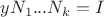 $yN_1...N_k = I$