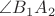$\angle B_{1}A_{2}$