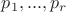 $p_1,...,p_r$