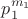 $p_1^{m_1}$