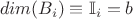 $\ dim(B_i)\equiv\mathbb{I}_i=b$