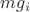 $mg_i$