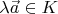 $\lambda\vec a\in K$