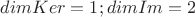 $dimKer=1; dimIm=2$