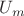 $U_{m}$
