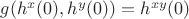 $g(h^x(0),h^y(0))=h^{xy}(0)$