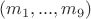 $(m_1,...,m_9)$