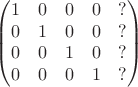 $$\begin{pmatrix} 1 & 0 & 0 & 0 & ? \\ 0 & 1 & 0 & 0 & ? \\ 0 & 0 & 1 & 0 & ?\\ 0 & 0 & 0 & 1 & ? \end{pmatrix}$$