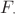 $F_{\cdot}$