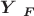 \boldsymbol{Y} _{ \boldsymbol{F} }