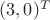 $(3,0)^T$
