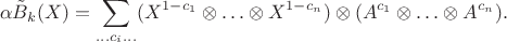 $$\alpha\tilde B_k(X) = \sum\limits_{\ldots c_i \ldots} (X^{1-c_1} \otimes\ldots\otimes X^{1-c_n}) \otimes (A^{c_1} \otimes\ldots\otimes A^{c_n}).$$ $$\alpha\tilde B_k(X) = \sum\limits_{\ldots c_i \ldots} (X^{1-c_1} \otimes\ldots\otimes X^{1-c_n}) \otimes (A^{c_1} \otimes\ldots\otimes A^{c_n}).$$