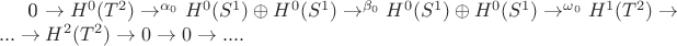 0 \rightarrow H^0(T^2) \rightarrow^{\alpha_0} H^0(S^1) \oplus H^0(S^1) \rightarrow^{\beta_0} H^0(S^1) \oplus H^0(S^1) \rightarrow^{\omega_0} H^1(T^2) \rightarrow ... \rightarrow H^2(T^2) \rightarrow 0 \rightarrow 0 \rightarrow ....