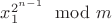 $x_1^{2^{n-1}} \mod m$