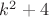 $k^2+4$