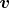 $\boldsymbol{v}$