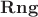 $\mathbf{Rng}$