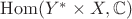 $\mathrm{Hom}(Y^*\times X, \mathbb{C})$