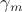 $\gamma_m$