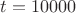 ${t}={10000}$