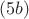 $(5b)$