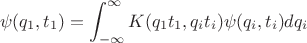 $$\psi(q_1,t_1)=\int_{-\infty}^{\infty}K(q_1 t_1, q_i t_i )\psi(q_i,t_i)dq_i$$