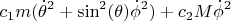 $$
c_1 m (\dot{\theta}^2 + \sin^2(\theta)\dot{\phi}^2) + c_2 M \dot{\phi}^2
$$