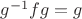 $g^{-1}fg = g$
