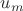 $u_{m}$