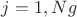 $j=1,Ng$