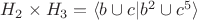 $H_2 \times H_3=\langle b \cup c|b^2\cup c^5\rangle$