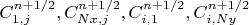 $C_{1,j}^{n+1/2}, C_{Nx,j}^{n+1/2}, C_{i,1}^{n+1/2},   C_{i,Ny}^{n+1/2}$