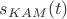 $s_{KAM}(t)$
