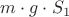 $m \cdot g \cdot S_1$