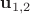 ${\bf u}_{1,2}$