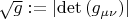 $\sqrt g : = \left| {\det \left( {g_{\mu \nu } } \right)} \right|$