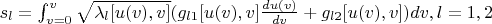 $s_l=\int_{v=0}^{v}\sqrt{\lambda_l[u(v),v]}(g_{l1}[u(v),v]\frac{du(v)}{dv}+g_{l2}[u(v),v])dv,l=1,2$