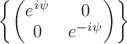 $\left\{\left(\begin{matrix}e^{i\psi}& 0 \\ 0 & e^{-i\psi}\end{matrix}\right)\right\}$