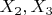 ${X_2},{X_3}$