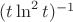 $(t \ln^2t)^{-1}$