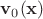 ${\bf v}_{0}({\bf x})$