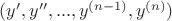 $(y', y'', ..., y^{(n-1)}, y^{(n)})$