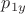 $p_{1y}$