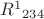 $R^1{}_{234}$